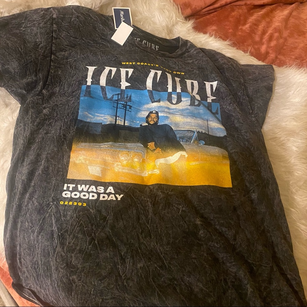 Ice Cube Today Was a Good Day Vintage Band Tee